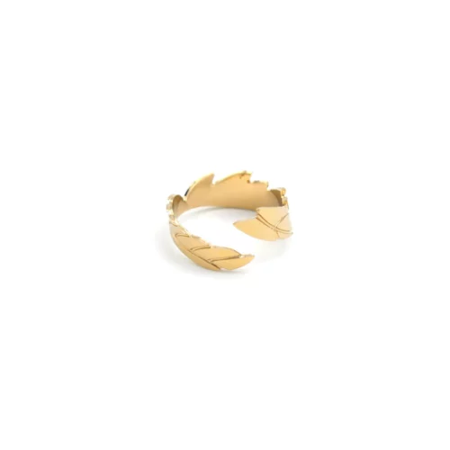 Najda Carlotti bague