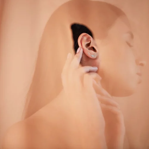 boucles d'oreilles envol