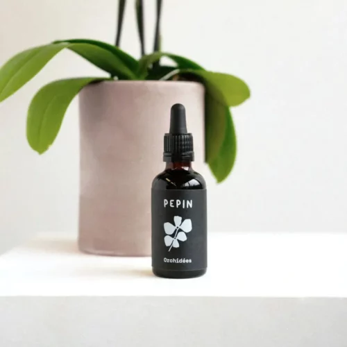 Engrais naturel pour orchidées
