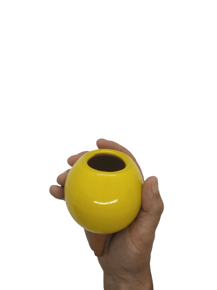 Petite Ollas pour irriguer les plantes
